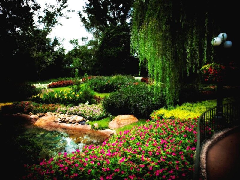 Garden with pond and flowers