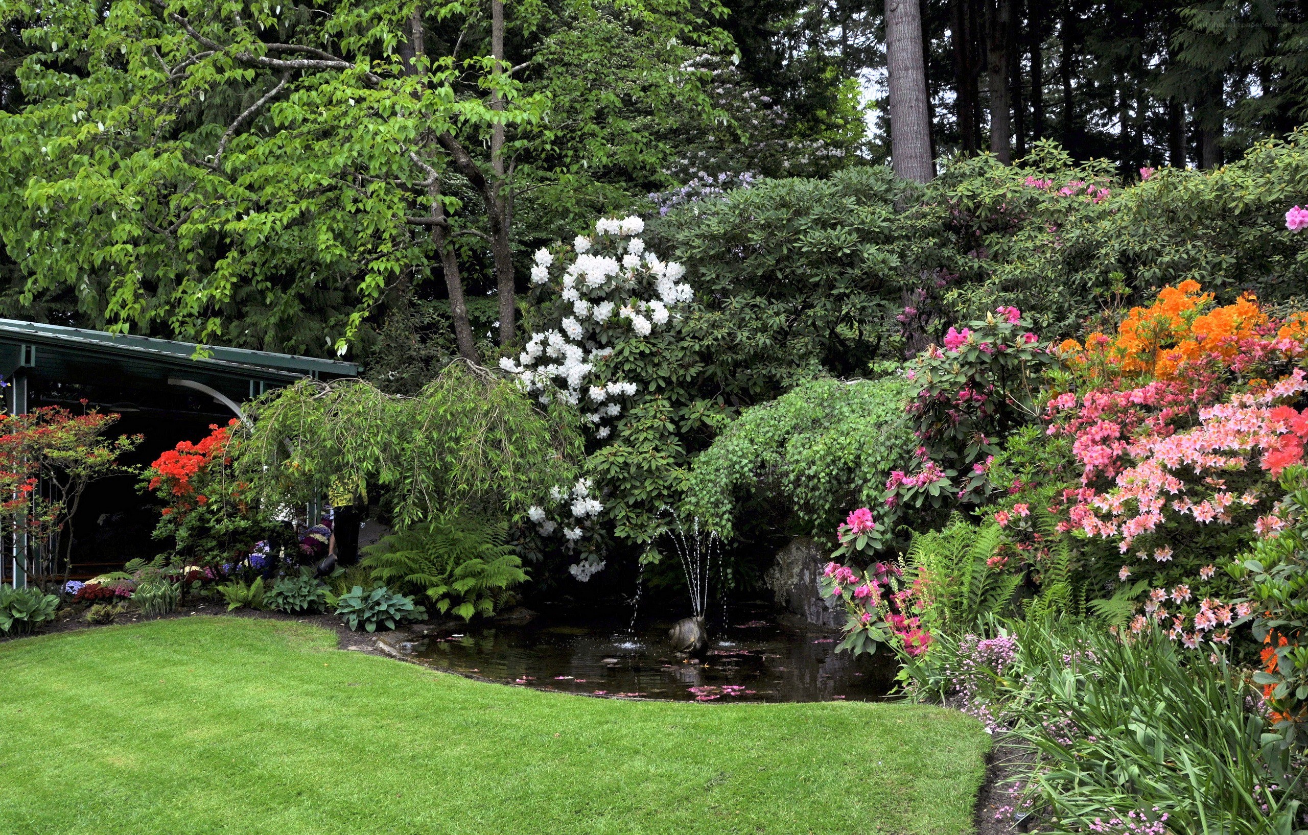 Garden with pond and flowers