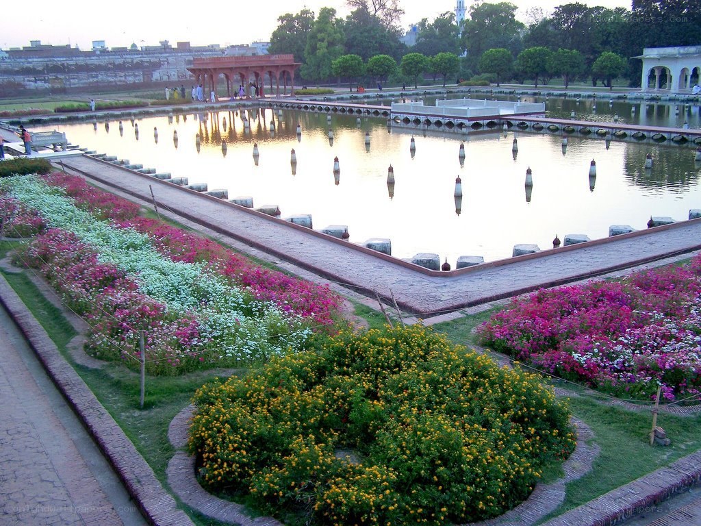 garden with pond and flowers