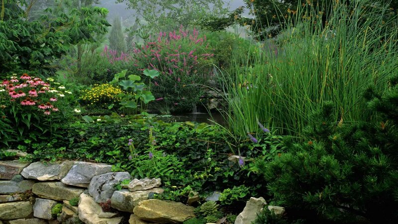 Garden with Pond and Flowers — Green, Serene, Morning