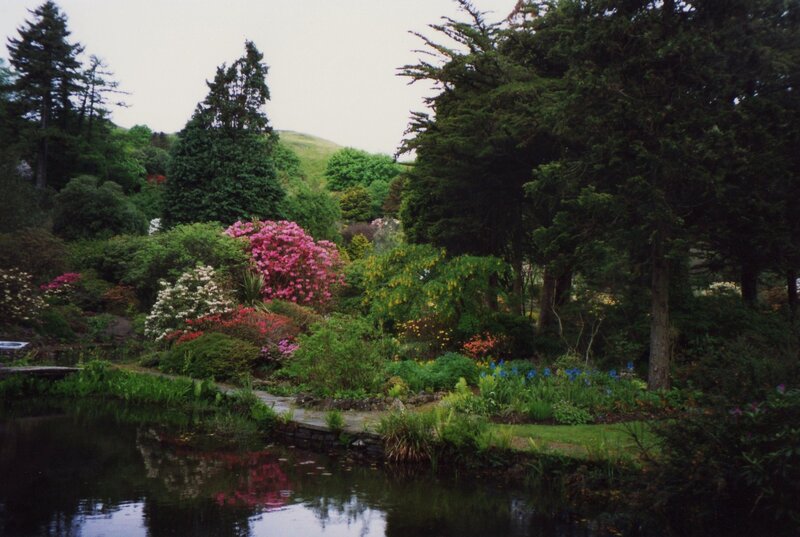 Garden with Pond and Flowers — Green, Serene, Spring