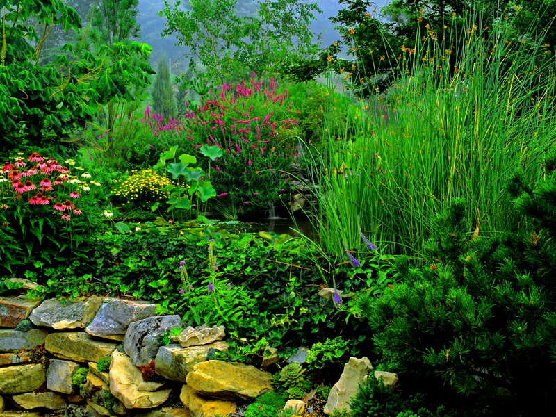 Garden with Pond and Flowers — Green, Serene