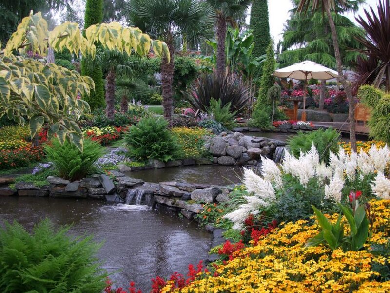 Garden with Pond and Flowers — Green