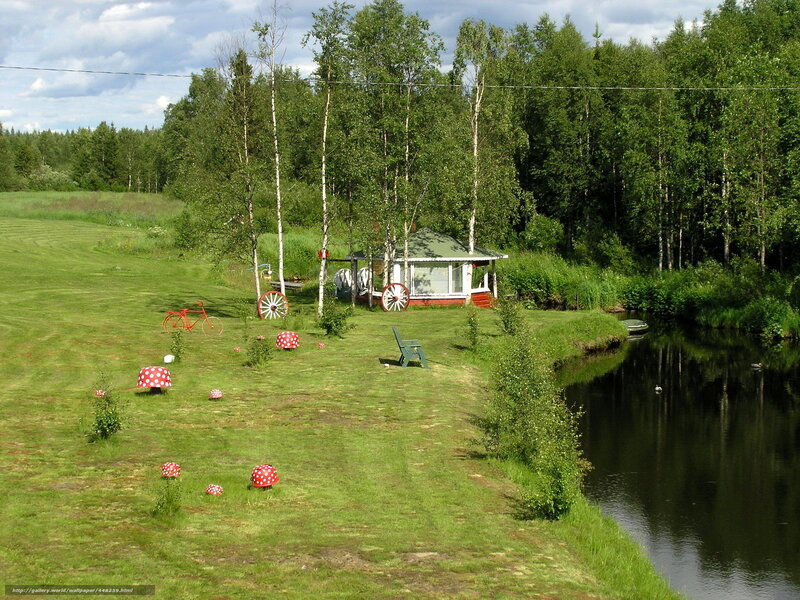 Garden with pond and mushroom decorations