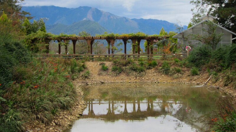 Garden with Pond and Pergola — Green
