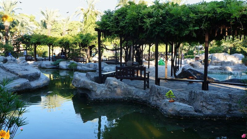 Garden with Pond and Pergola