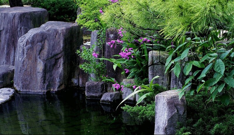 Garden with Pond and Rocks