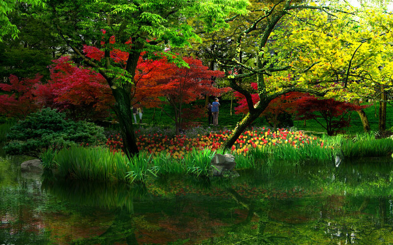 Garden with Pond and Trees — Green, Serene