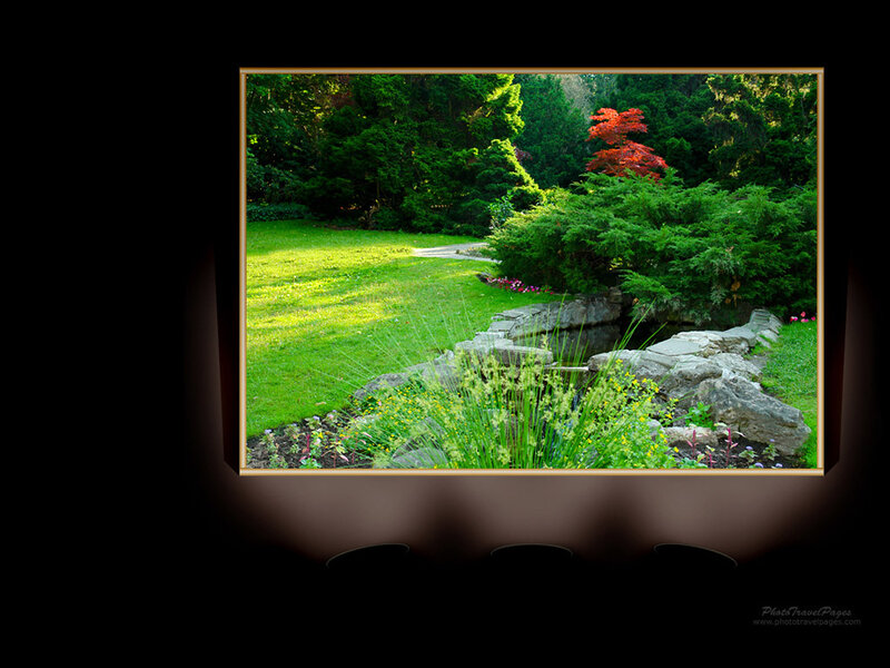 Garden with Pond and Trees — Green