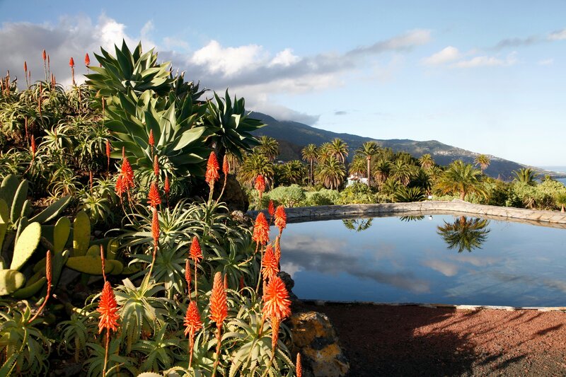 Garden with pool and mountain view