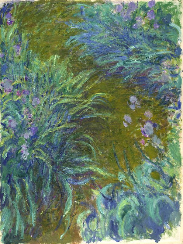 Garden with Purple Flowers