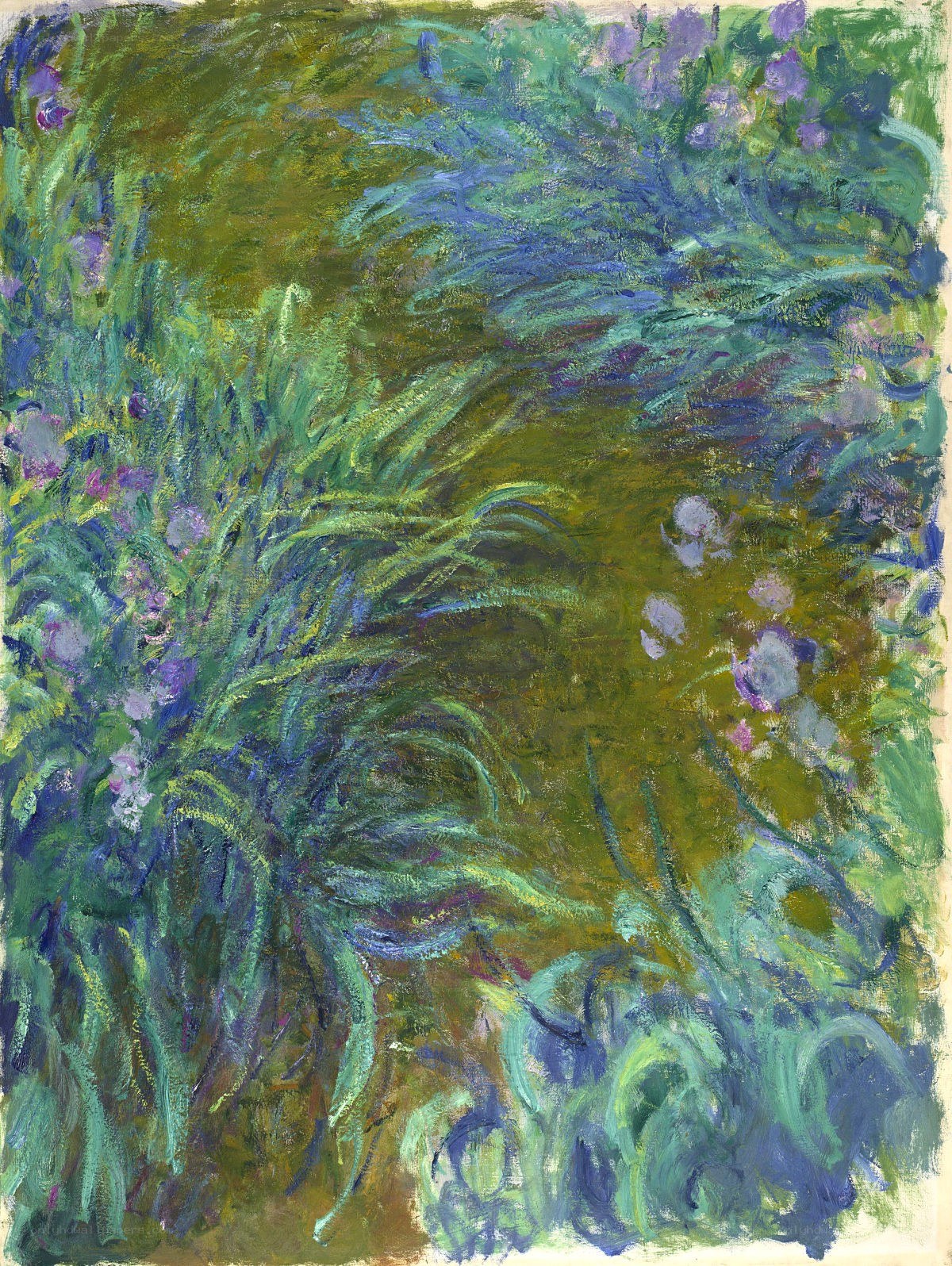 Garden with Purple Flowers