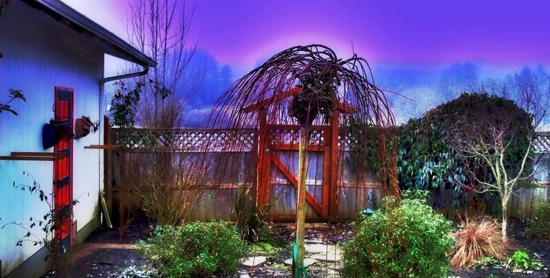 garden with purple sky