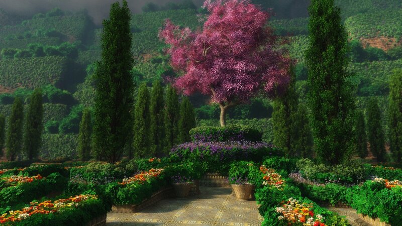 Garden with purple tree