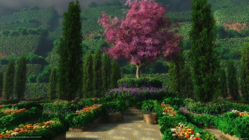 Garden with purple tree