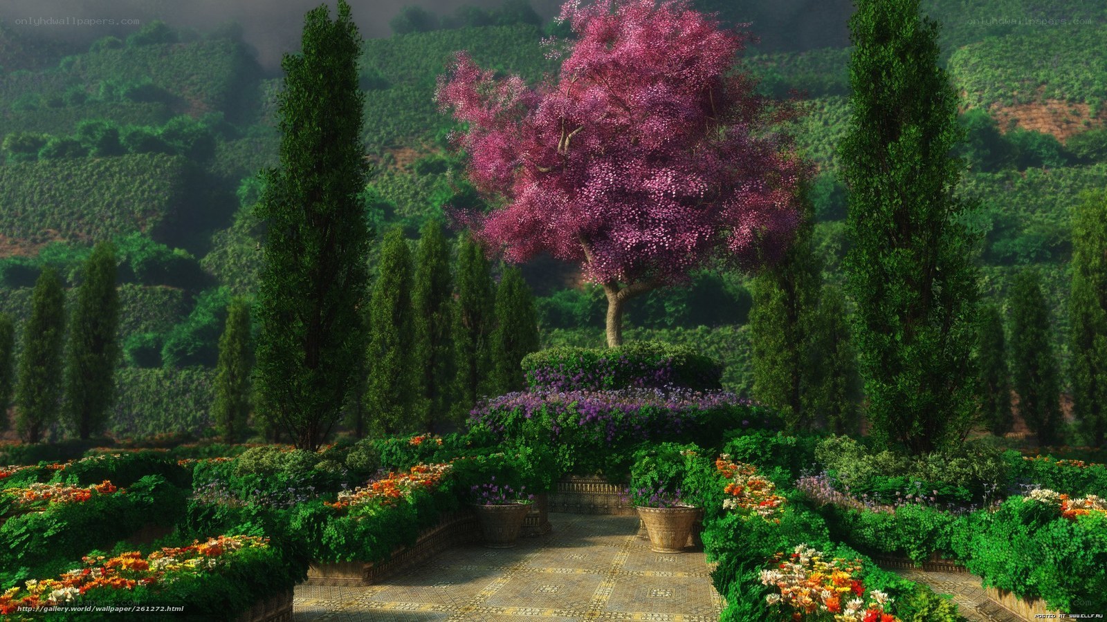 Garden with purple tree