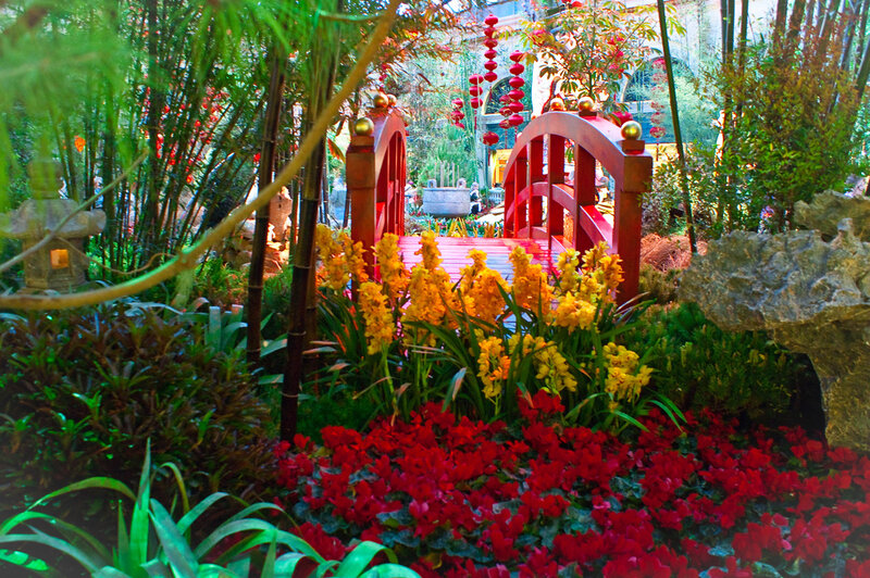 Garden with red bridge and flowers