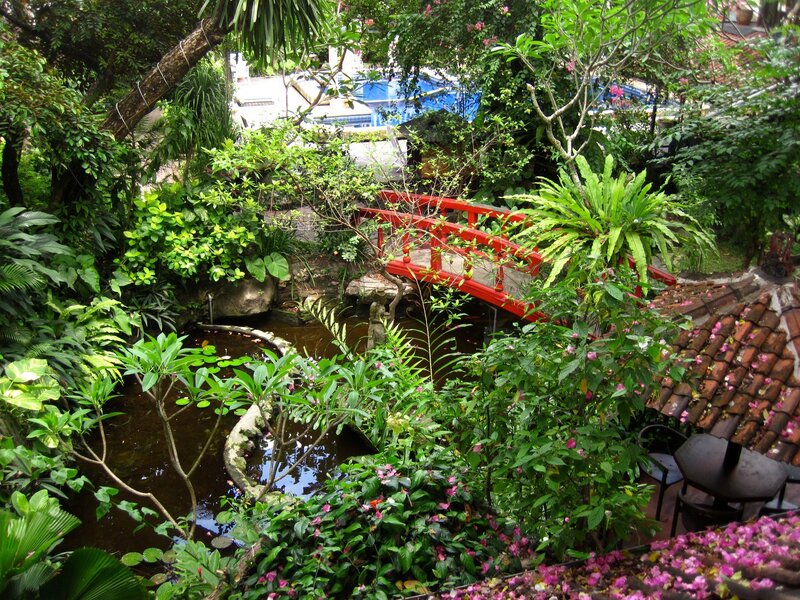 Garden with red bridge