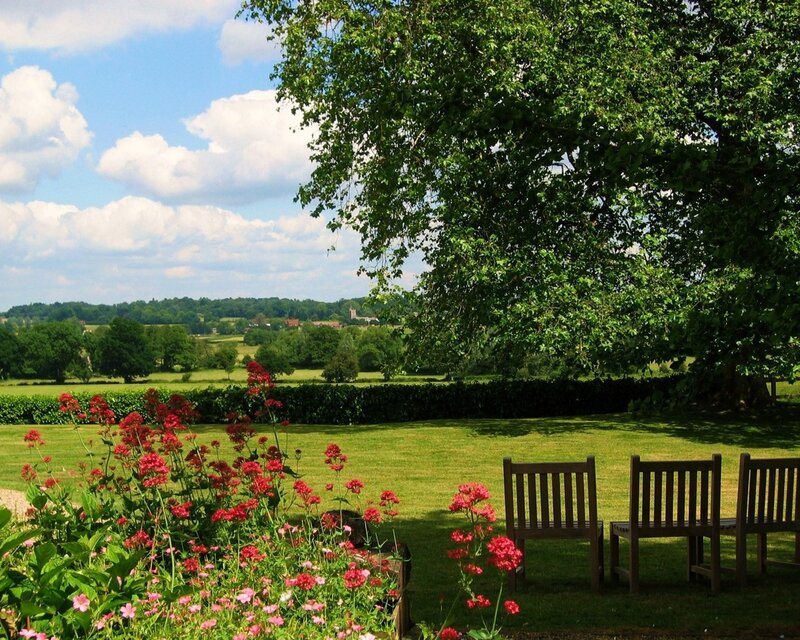 Garden with Red Flowers — Green