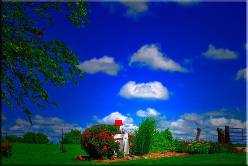 Garden with Red Flowers