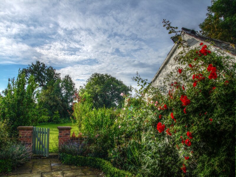 Garden with red roses and stone cottage