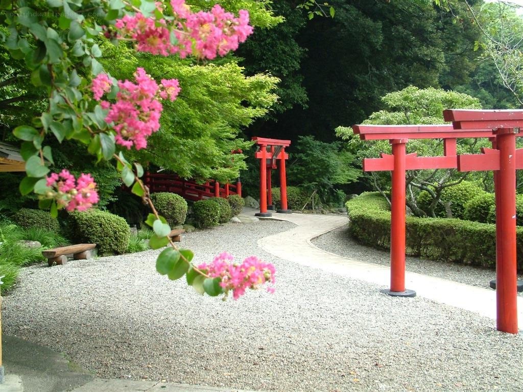 Garden with red torii gates