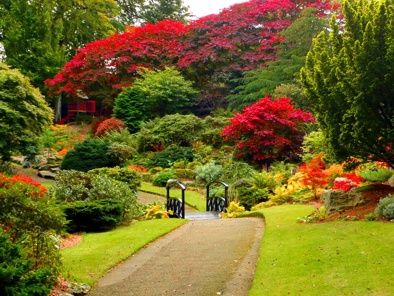 Garden with Red Trees