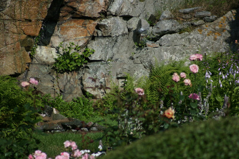 Garden with rock wall and flowers