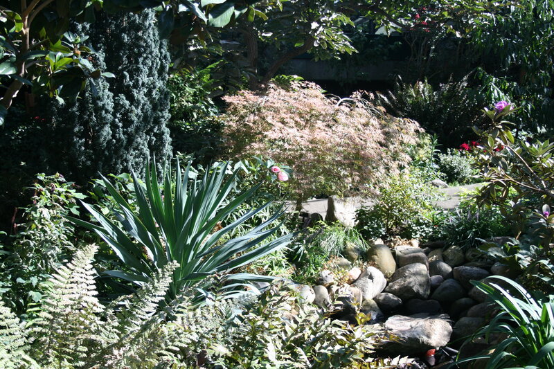 Garden with Rocks and Plants — Green, Serene