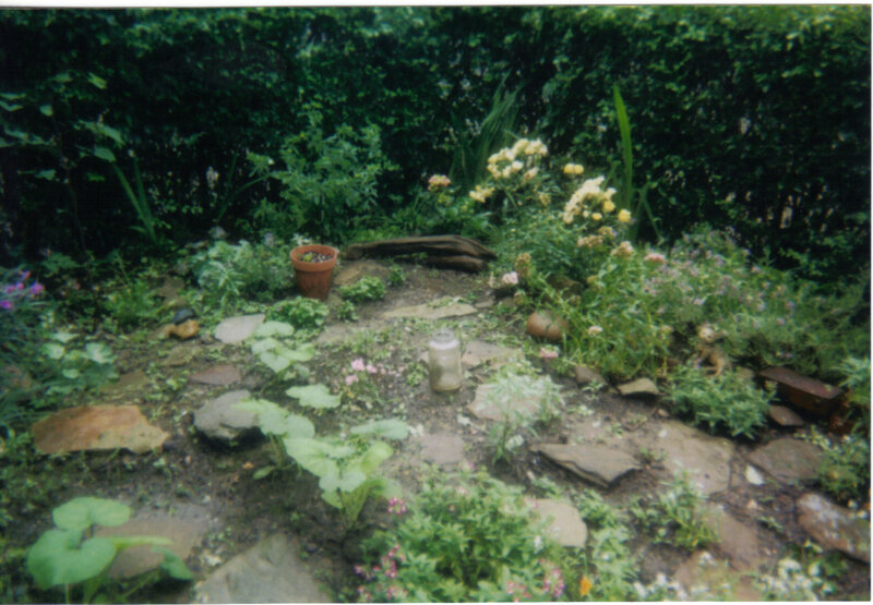 Garden with Rocks and Plants — Green