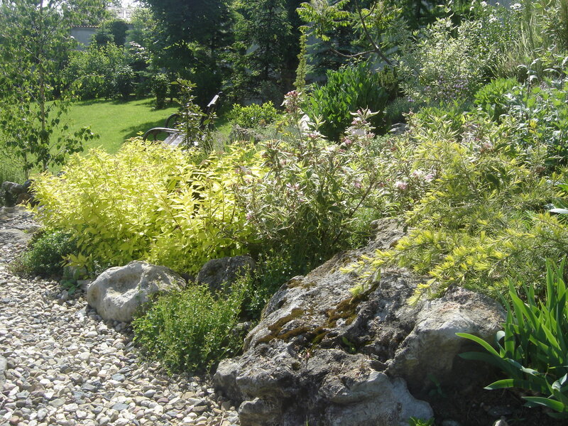 Garden with Rocks and Plants