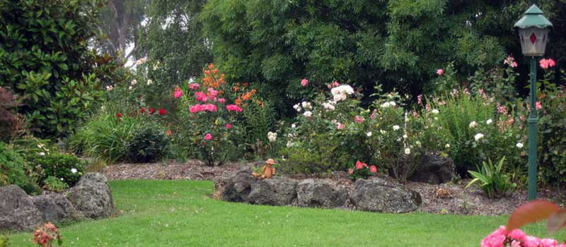 Garden with Rose Bushes — Green