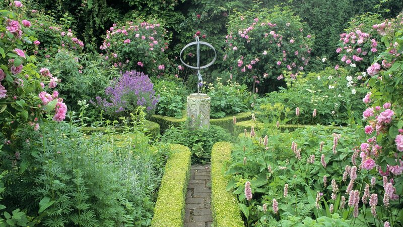 Garden with rose bushes