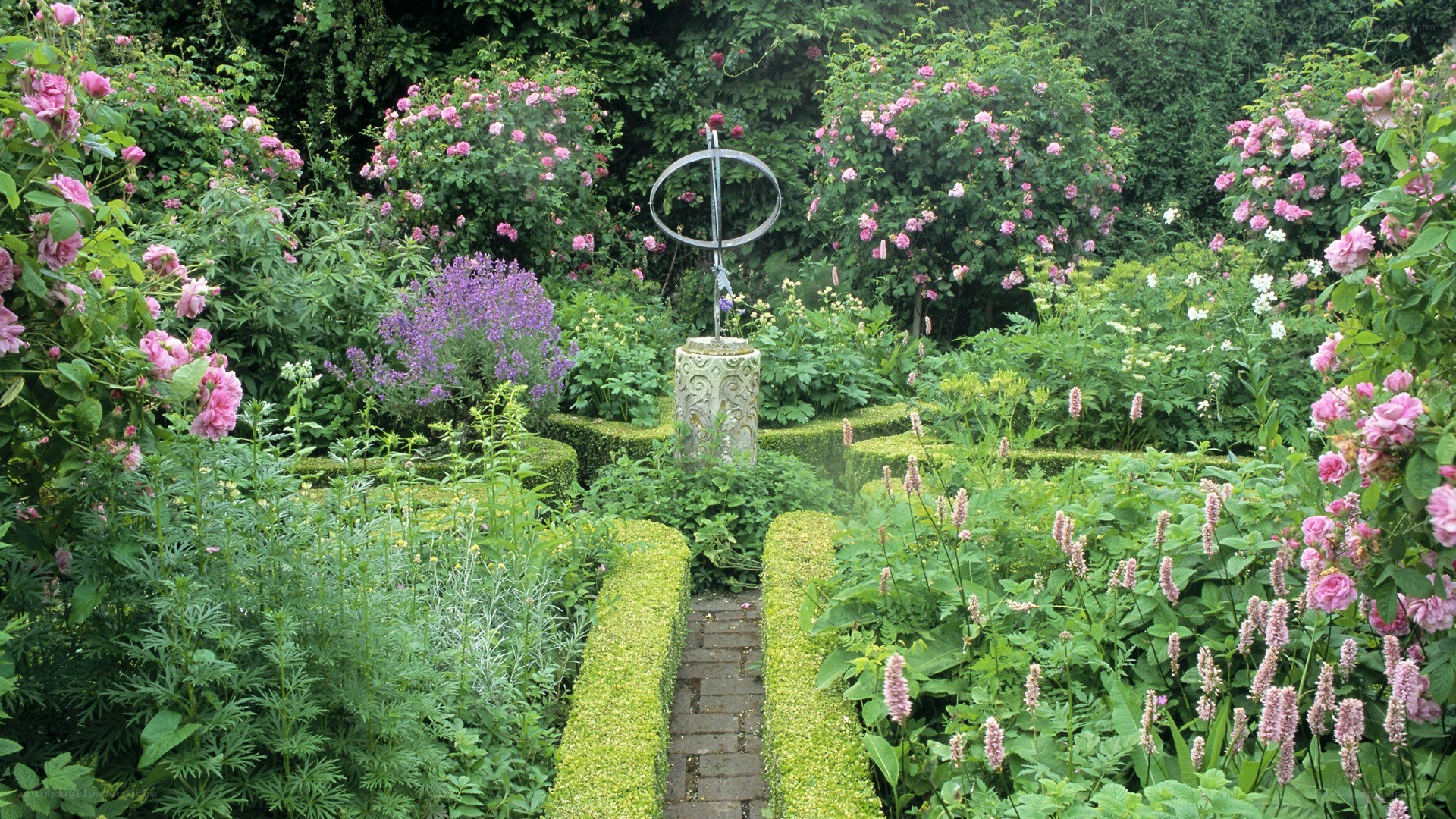 Garden with rose bushes