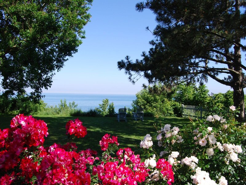 Garden with Roses and Chairs