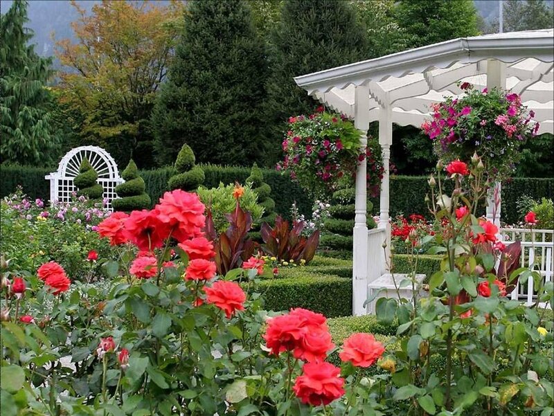 Garden with roses and gazebo