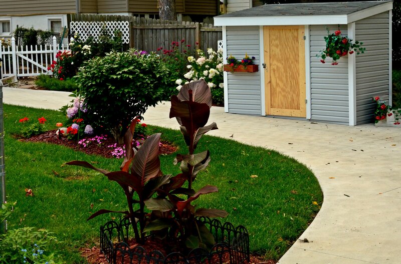 Garden with Shed