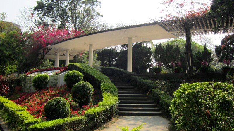 Garden with Staircase