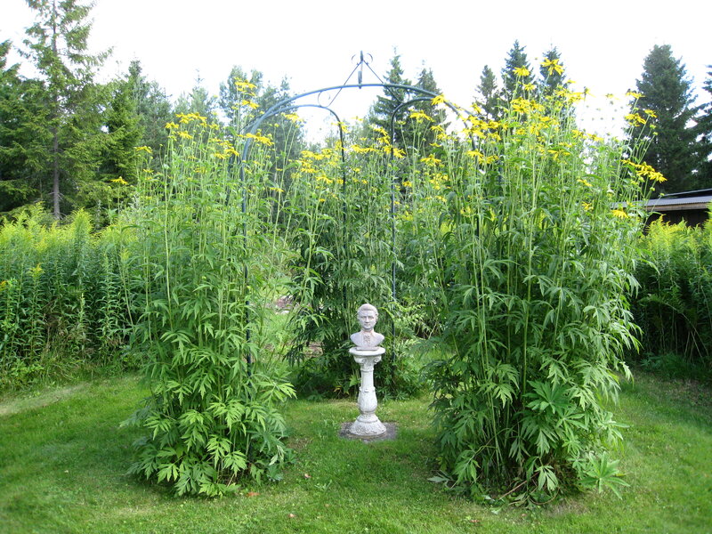 Garden with Statue