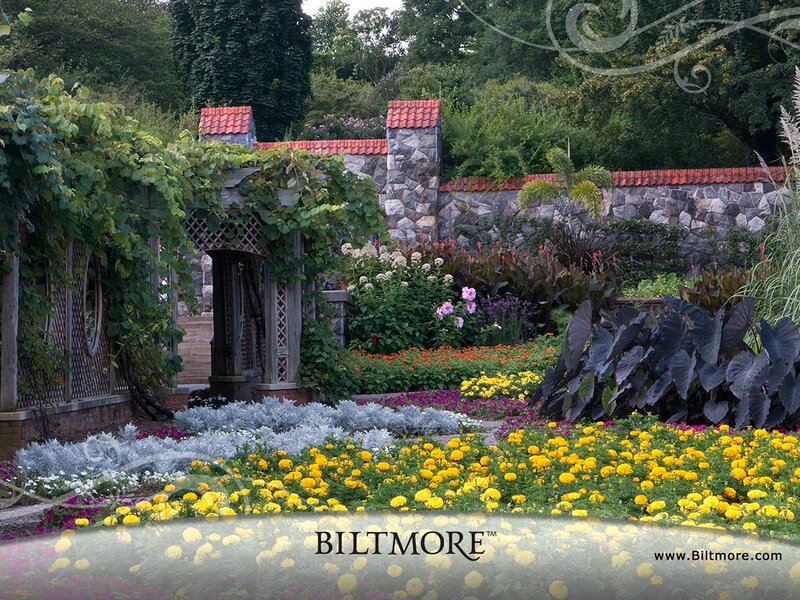 Garden with Stone Archway — Yellow