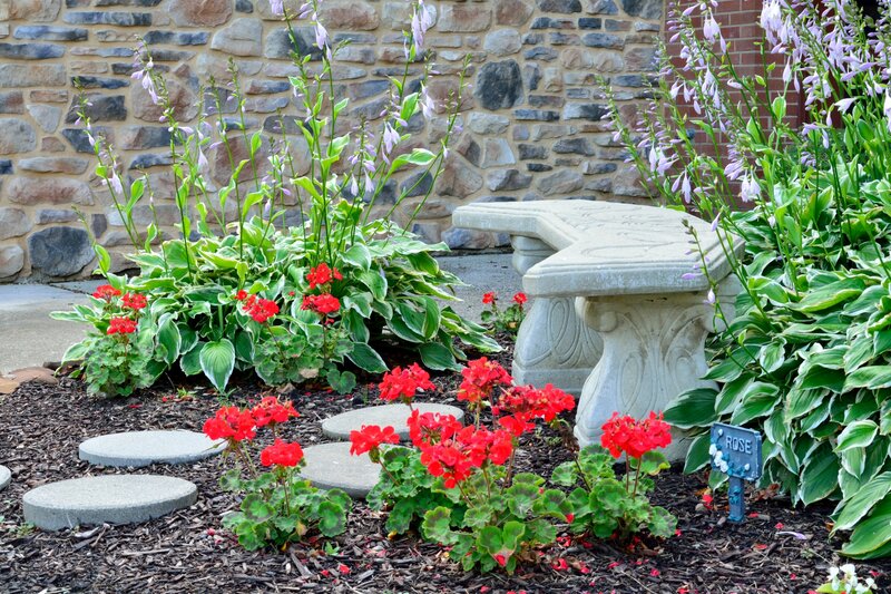 Garden with Stone Bench — Green, Serene, Summer