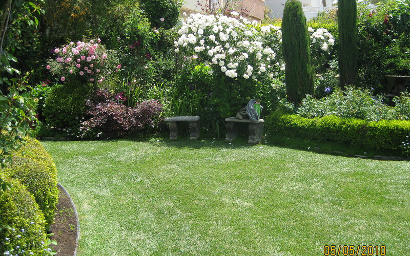 Garden with Stone Benches