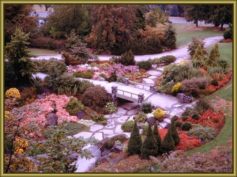 Garden with stone bridge