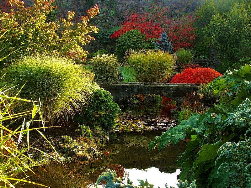 Garden with Stone Bridge — Green, Serene, Autumn, Photograph, Pond