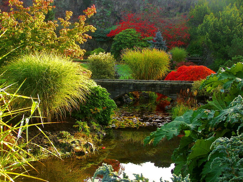 Garden with Stone Bridge — Green, Serene, Autumn, Photograph