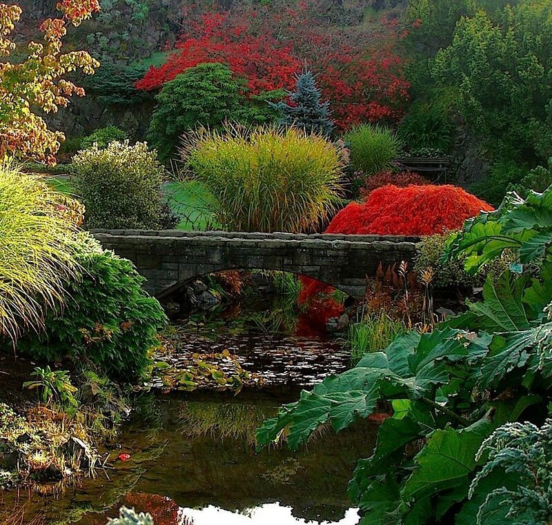 Garden with Stone Bridge — Green, Serene, Autumn