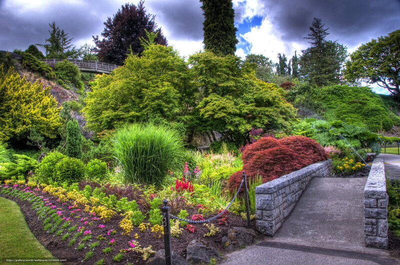 Garden with stone bridge