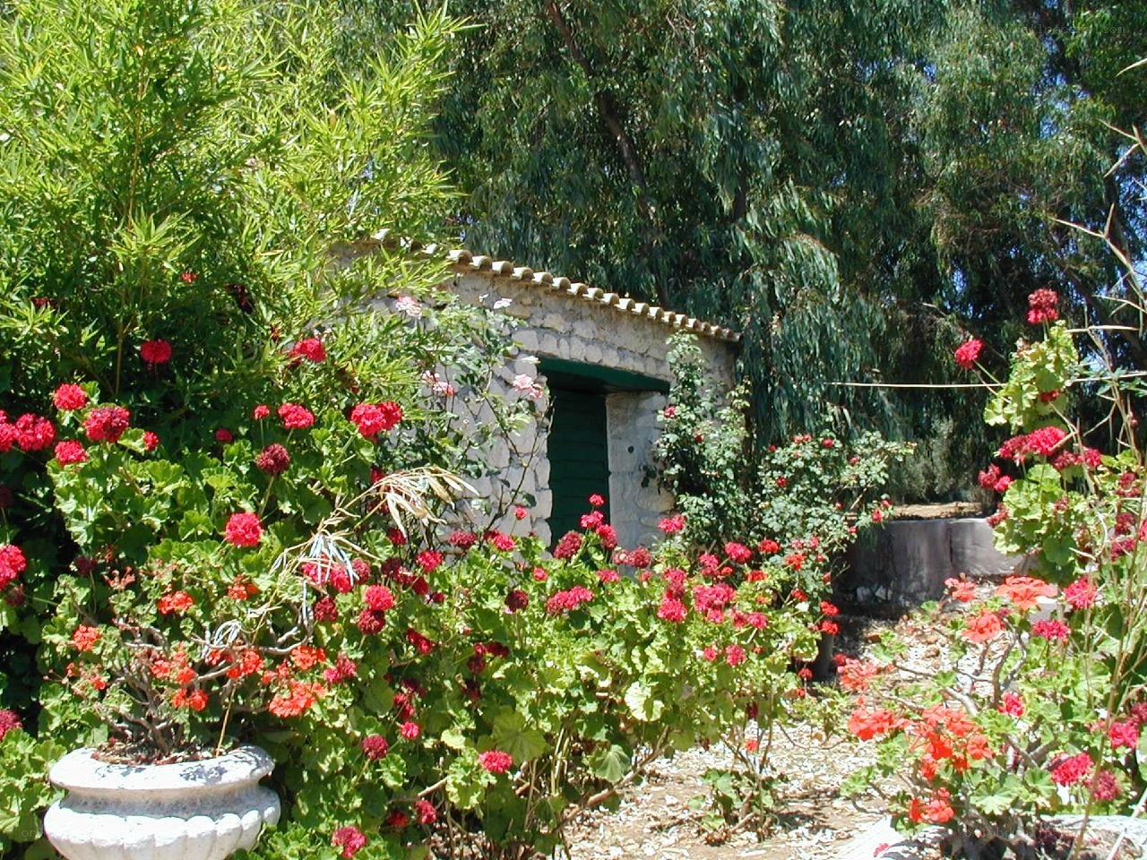 Garden with stone hut
