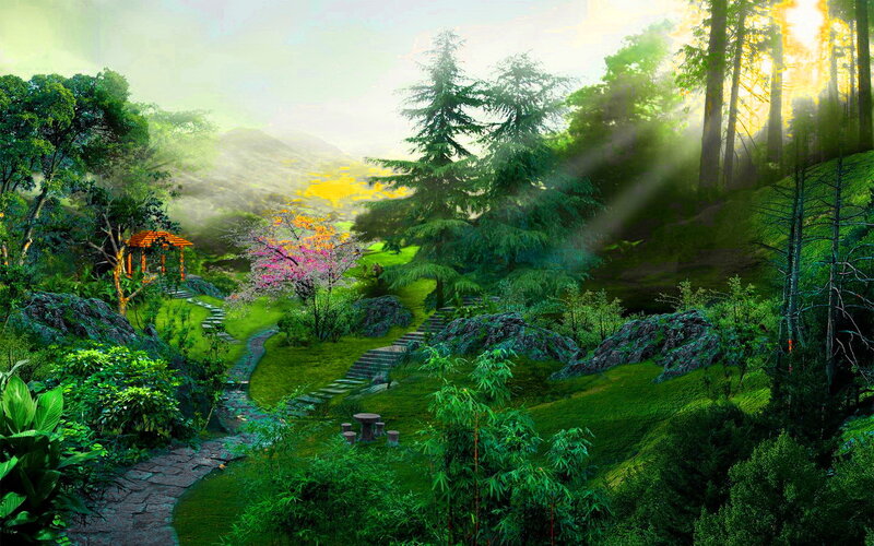 Garden with Stone Path — Green, Serene, Morning