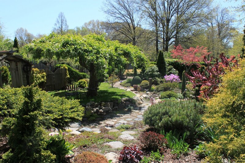 Garden with Stone Path — Green, Serene, Spring, Photograph